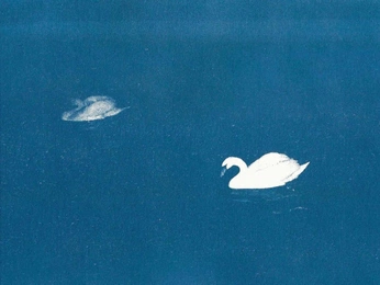 A cover of "Frances" cluster. The owner is xstina. The cluster consists of 2 elements.