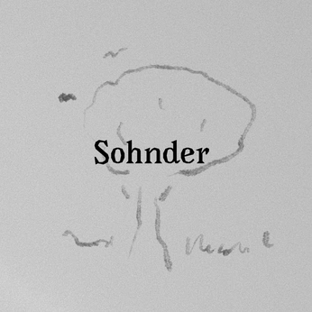 A cover of "Sohnder" cluster. The owner is danieraci. The cluster consists of 319 elements.