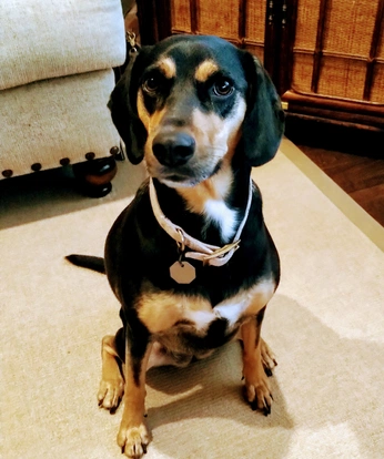 A cover of "feel deeper" cluster. The owner is eleetyson. The cluster consists of 2 elements.