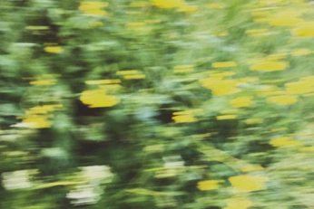 A cover of "esencia" cluster. The owner is biancaalberti. The cluster consists of 5 elements.