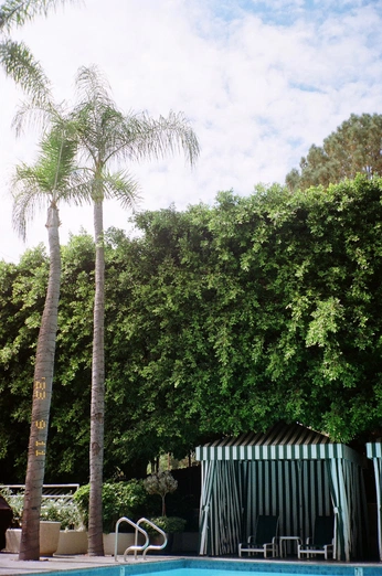 A cover of "LA" cluster. The owner is amandaecreates. The cluster consists of 7 elements.