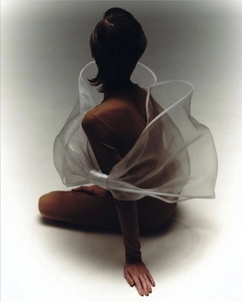 A cover of "fashion" cluster. The owner is joliecolette. The cluster consists of 1 element.