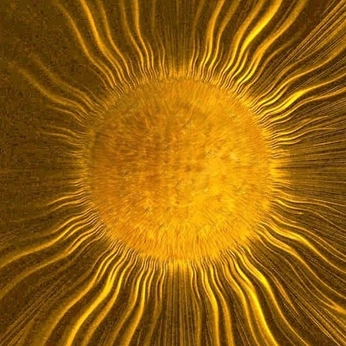 A cover of "eguzkilore" cluster. The owner is valvalvla. The cluster description is "cartel para clase". The cluster consists of 25 elements.