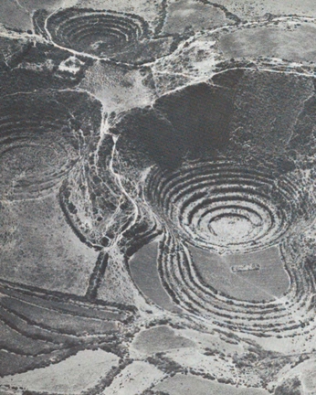 A cover of "EPIFANÍA" cluster. The owner is httpmajoo. The cluster consists of 22 elements.