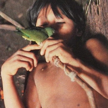 A cover of "Amazonian Breath" cluster. The owner is liljaguar4life. The cluster consists of 12 elements.