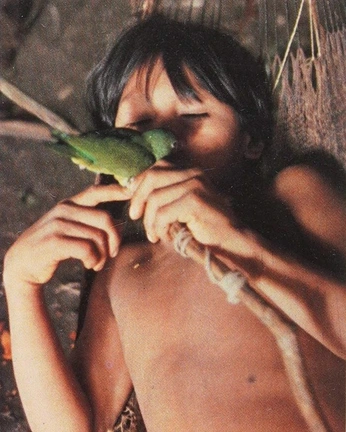 A cover of "Natural" cluster. The owner is malakia. The cluster consists of 1 element.