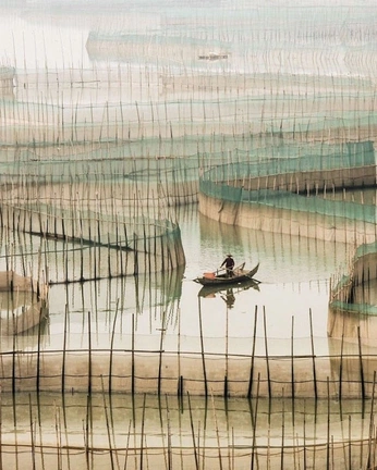 A cover of "color" cluster. The owner is yennie. The cluster consists of 2 elements.