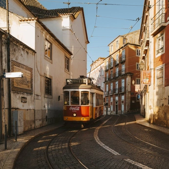 A cover of "Saudades A Sardinhas" cluster. The owner is nilsmourato. The cluster consists of 58 elements.