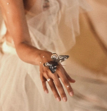 A cover of "Idyllic Bliss" cluster. The owner is robertcorea. The cluster consists of 5 elements.