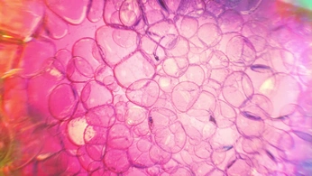 A cover of "Motion productions" cluster. The owner is samanderiss. The cluster consists of 12 elements.