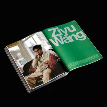 A cover of "Graphics" cluster. The owner is gwenn. The cluster consists of 23 elements.