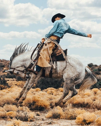 A cover of "Cowboy" cluster. The owner is williamcallan. The cluster consists of 12 elements.