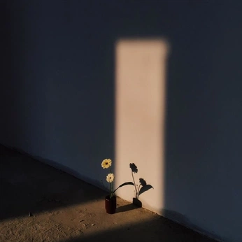 A cover of "Composition" cluster. The owner is devu.create. The cluster consists of 22 elements.