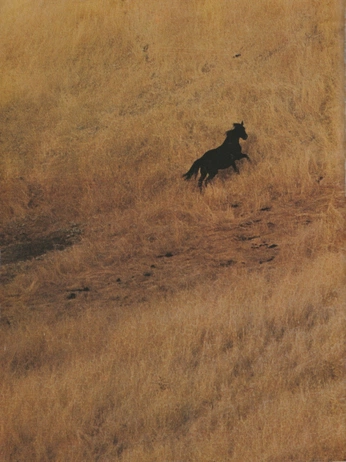 A cover of "soujourn" cluster. The owner is jb. The cluster consists of 7 elements.