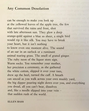 A cover of "📜" cluster. The owner is 82x63. The cluster consists of 26 elements.