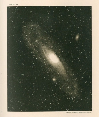 A cover of "Elloy" cluster. The owner is urmythtaken. The cluster consists of 20 elements.