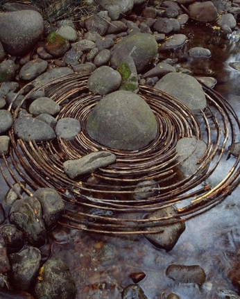 A cover of "Setups" cluster. The owner is m3scape. The cluster consists of 56 elements.