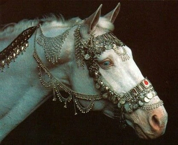 A cover of "Horse" cluster. The owner is paintitpat. The cluster consists of 17 elements.