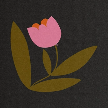 A cover of "Illustration" cluster. The owner is kaileybailey. The cluster consists of 1 element.