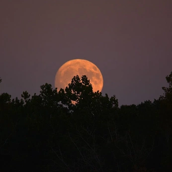 A cover of "Aesthetic Banners" cluster. The owner is httpaola. The cluster description is "twitter headers ". The cluster consists of 15 elements.