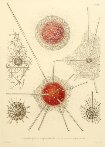 A cover of "2022 Whumptober + BTHB" cluster. The owner is lixxiecorn. The cluster consists of 2 elements.