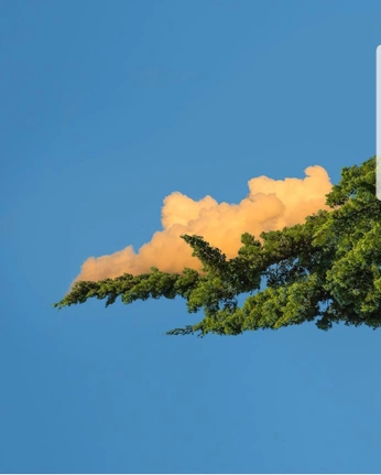 A cover of "Jewelry Brand Color" cluster. The owner is pietro182. The cluster consists of 56 elements.