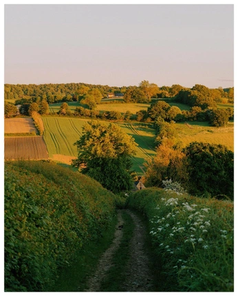 A cover of "Nature" cluster. The owner is evand. The cluster consists of 12 elements.