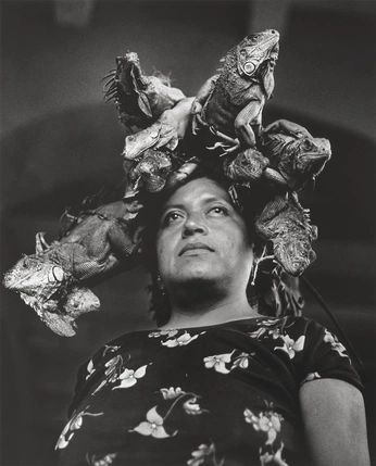 A cover of "graciela iturbide" cluster. The owner is escandonvale. The cluster consists of 13 elements.