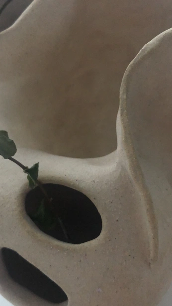 A cover of "Ceramics" cluster. The owner is ppedro. The cluster consists of 4 elements.