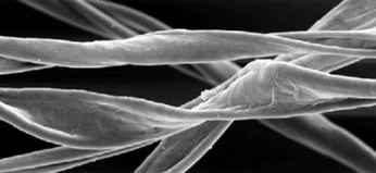 A cover of "(ARCHIVED) TNF" cluster. The owner is jbkrauss. The cluster consists of 16 elements.