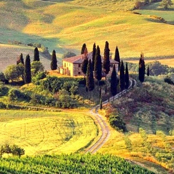 A cover of "plarchytecture" cluster. The owner is velopdragen. The cluster consists of 172 elements.