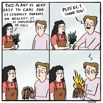 A cover of "A Smile in the Mind" cluster. The owner is undersight. The cluster consists of 5 elements.