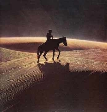 A cover of "Yeehaw" cluster. The owner is vitsr. The cluster consists of 16 elements.