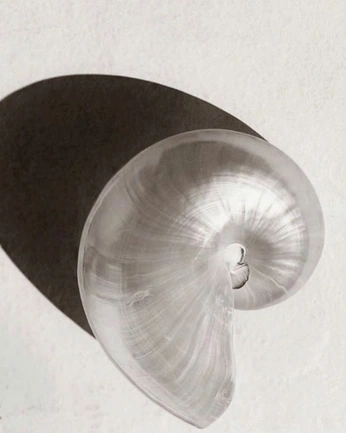 A cover of "OCEAN" cluster. The owner is betsersboo. The cluster consists of 2 elements.