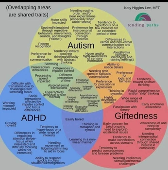 A cover of "Adhd" cluster. The owner is thaisferraz. The cluster consists of 3 elements.