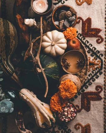 A cover of "food" cluster. The owner is sophiameek. The cluster consists of 18 elements.