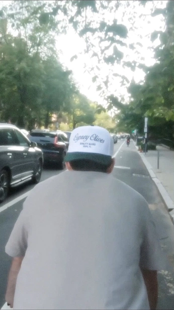 A cover of "OLIVES" cluster. The owner is travisearp. The cluster consists of 27 elements.