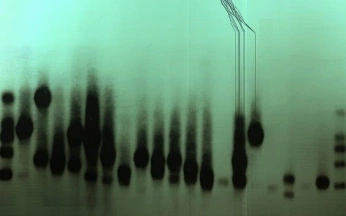 A cover of "Colours" cluster. The owner is avalonbeviere. The cluster consists of 3 elements.