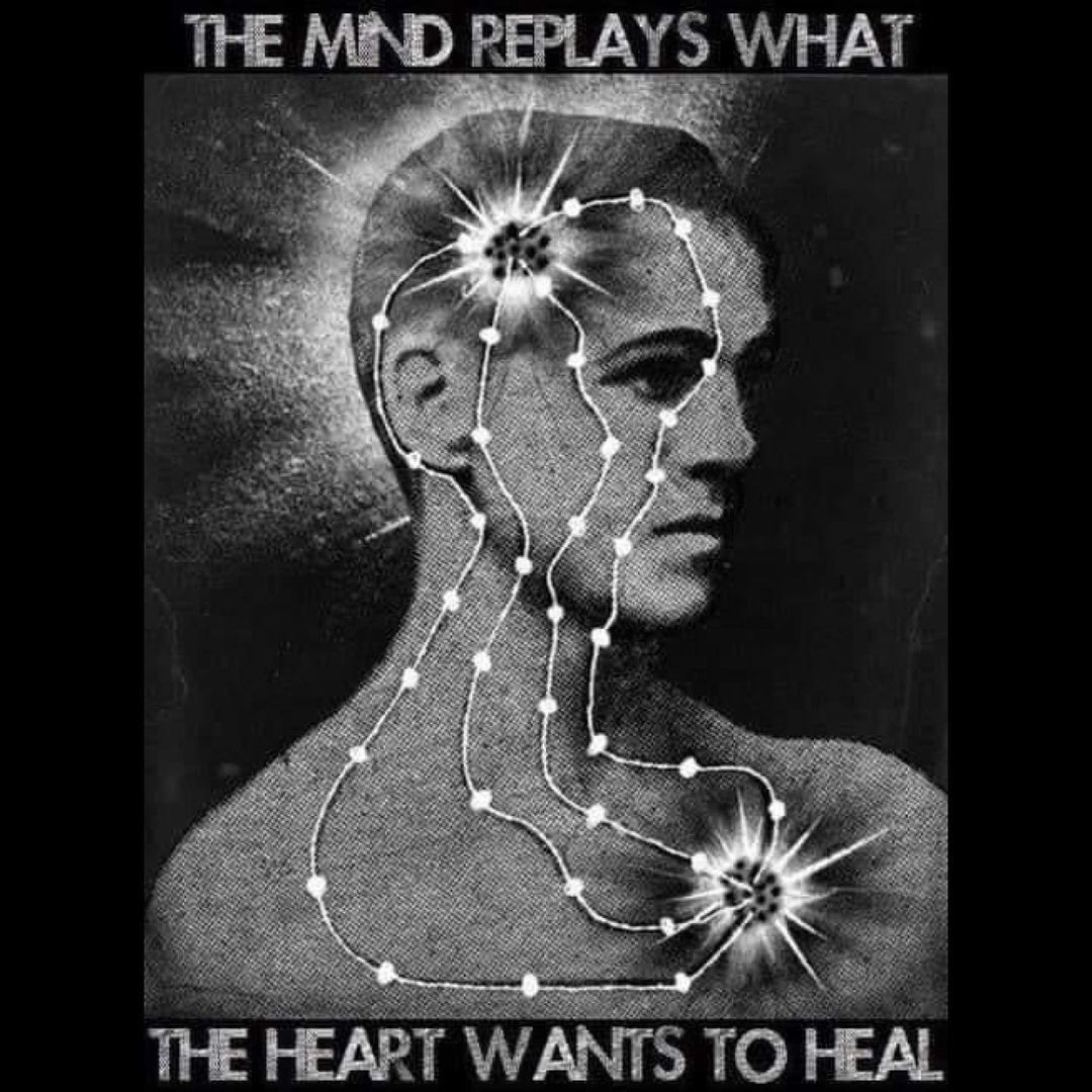 An Instagram  post added by akvsha on Sep 29, 2023. The author is @sovereign.collective. May present: head, jaw, neck, organism, poster.