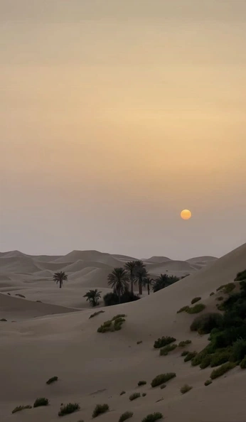 A cover of "north africa" cluster. The owner is madinakin.333. The cluster consists of 16 elements.