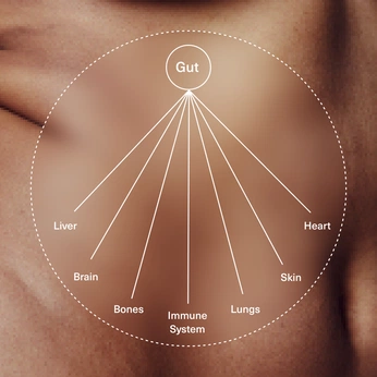 A cover of "RHA" cluster. The owner is caalvinoo. The cluster consists of 16 elements.