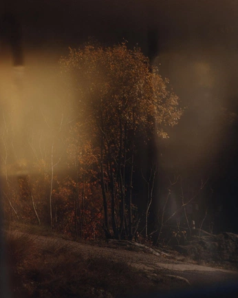 A cover of "Fall/halloween" cluster. The owner is mangoo334. The cluster consists of 4 elements.