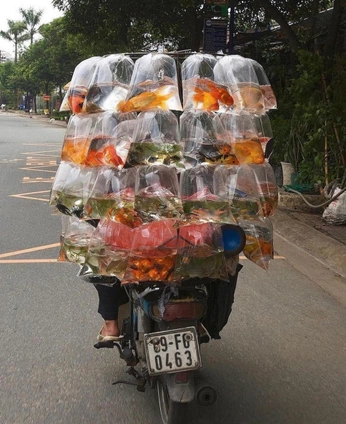 A cover of "eye candy" cluster. The owner is meditativeshapes. The cluster consists of 5 elements.