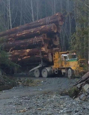 A cover of "[CLIENT] Phipps" cluster. The owner is reztokia. The cluster consists of 18 elements.