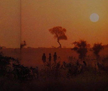 A cover of "S-12" cluster. The owner is jags. The cluster consists of 149 elements.