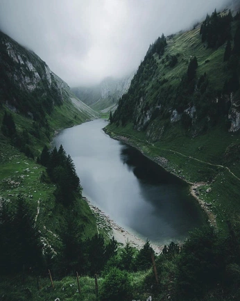 A cover of "Landscape" cluster. The owner is fiercefox. The cluster consists of 20 elements.