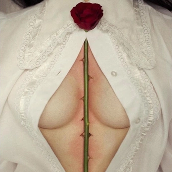 A cover of "erotica mimi" cluster. The owner is dmaaa. The cluster consists of 115 elements.