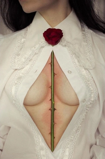 A cover of "MONVRCX" cluster. The owner is adrianxxrod. The cluster consists of 52 elements.