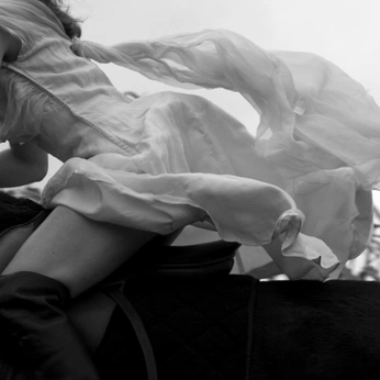 A cover of "horsefairs and maidens." cluster. The owner is archvillain. The cluster consists of 75 elements.