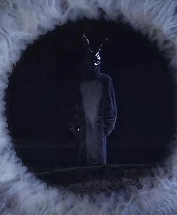 A cover of "Donnie Darko" cluster. The owner is sleepinondreams. The cluster consists of 8 elements.